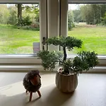 Forest With Charm And Original Details Hébergement de vacances *